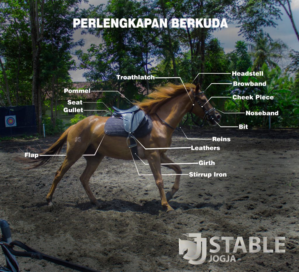 Peralatan Berkuda