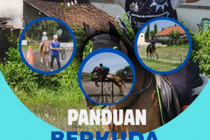 tahapan belajar berkuda untuk pemula