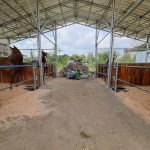 KEGIATAN PENGENALAN PROFESI DI JJ STABLE JOGJA