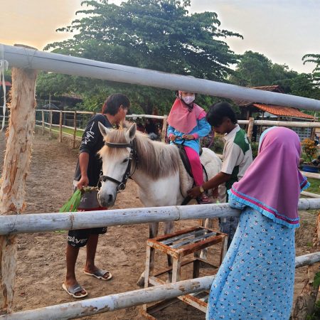 Wisata Yogyakarta : Berkuda di JJ Stable Equestrian