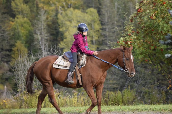 2 Manfaat Berkuda Untuk Kesehatan