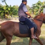 Apakah Berkuda Baik Untuk Kesehatan ?