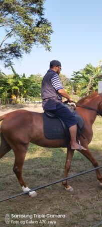 Apakah Berkuda Baik Untuk Kesehatan ?