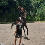 JJ Stable Jogja: Menyediakan Kandang Kuda dan Pelatihan Berkuda di Kota Jogja"