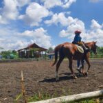 JJ Stable: Tempat Kursus Berkuda Terbaik di Kota Yogyakarta