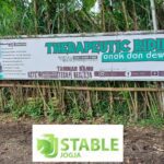 JJ Stable Jogja: Tempat Kursus Berkuda dan Terapi Kesehatan dengan Berkuda