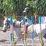 Berkuda Healing Anti-Mainstream di Yogyakarta