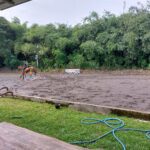 JJ Stable - Tempat Berkuda yang Dekat dengan Kampus UGM