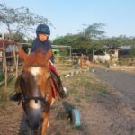 Tempat Berkuda yang Terdekat dari Pusat Kota Jogja