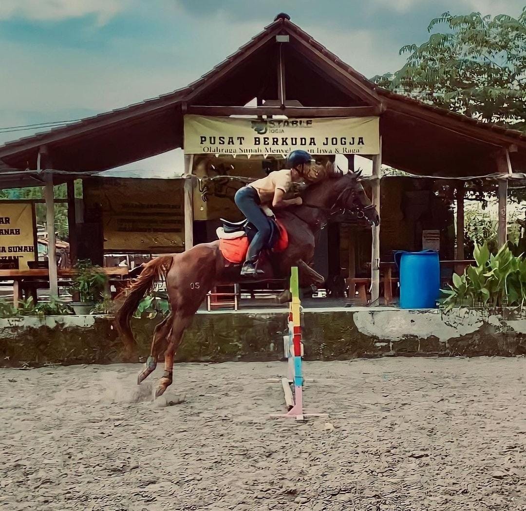 JJ Stable: Tempat Kursus Terdekat Berkualitas di Kota Jogja