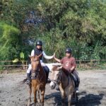 Kurikulum Berkuda di JJ Stable Jogja