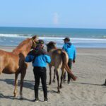 Berkuda di Pantai Jogja: Sensasi Petualangan Bersama JJ Stable Jogja