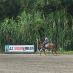 lapangan berkuda di jogja yang bagus