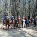JJ Stable Jogja Tempat Terdekat Kursus Berkuda Dari Klaten