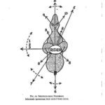 10 Keunggulan Busur Horsebow Dibandingkan Busur Modern