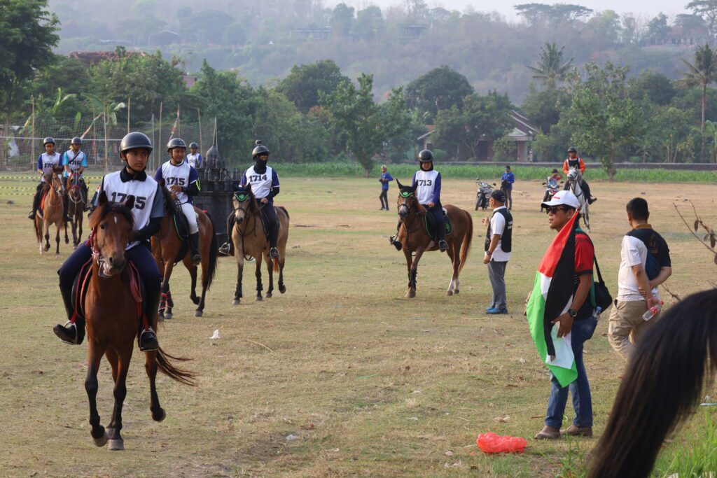 Jual Kuda Tunggang untuk Endurance dan Horseback Archery di JJ Stable Jogja
