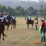 Jual Kuda Tunggang untuk Endurance dan Horseback Archery di JJ Stable Jogja