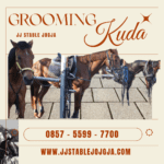 Cara Memandikan Kuda Yang Baik Dan Benar Bersama JJ Stable Jogja