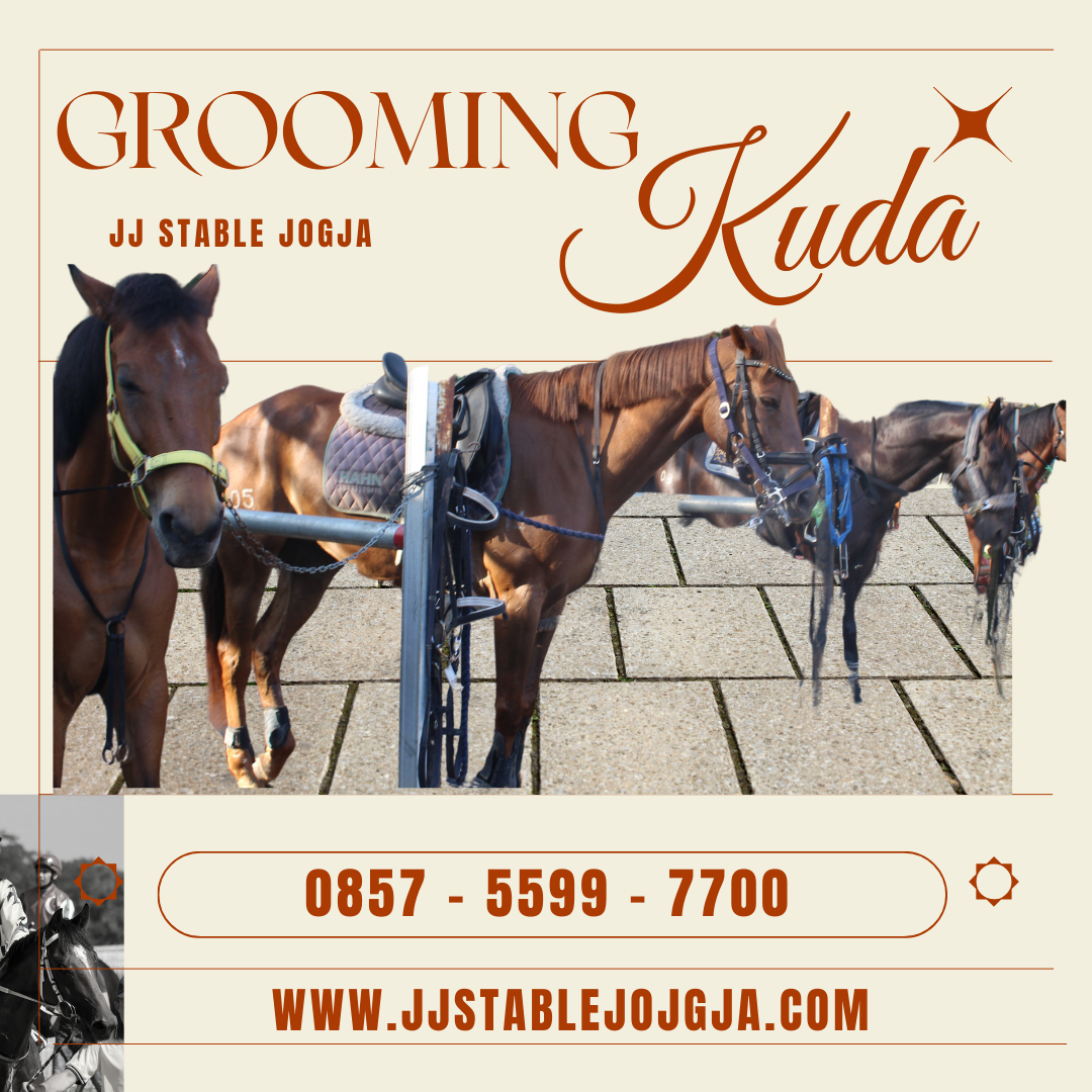 Cara Memandikan Kuda Yang Baik Dan Benar Bersama JJ Stable Jogja