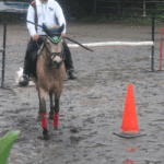 kursus horseback archery terbaru 2024 di jogja