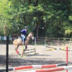 Les Berkuda untuk Wanita di JJ Stable Sleman Yogyakarta Rasakan Keanggunanmu dan Kebebasan di Atas Kuda Terlatih