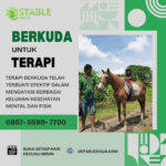 Kursus Berkuda untuk Terapi di JJ Stable Jogja