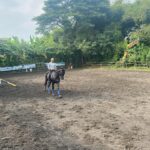 Pelatihan Dalam Berkuda Di JJ STABLE JOGJA