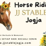 Belajar Berkuda Jadi Seru Di Jj Stable Jogja