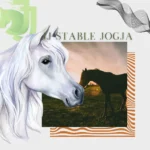 Tempat Les Berkuda di Jogja yang Paling Direkomendasikan