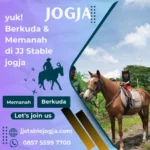 5 Keunggulan Berkuda untuk Kesehatan Tubuh dan Pikiran yang Sering Terlewatkan