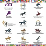 12 organisasi berkuda internasional paling besar resmi